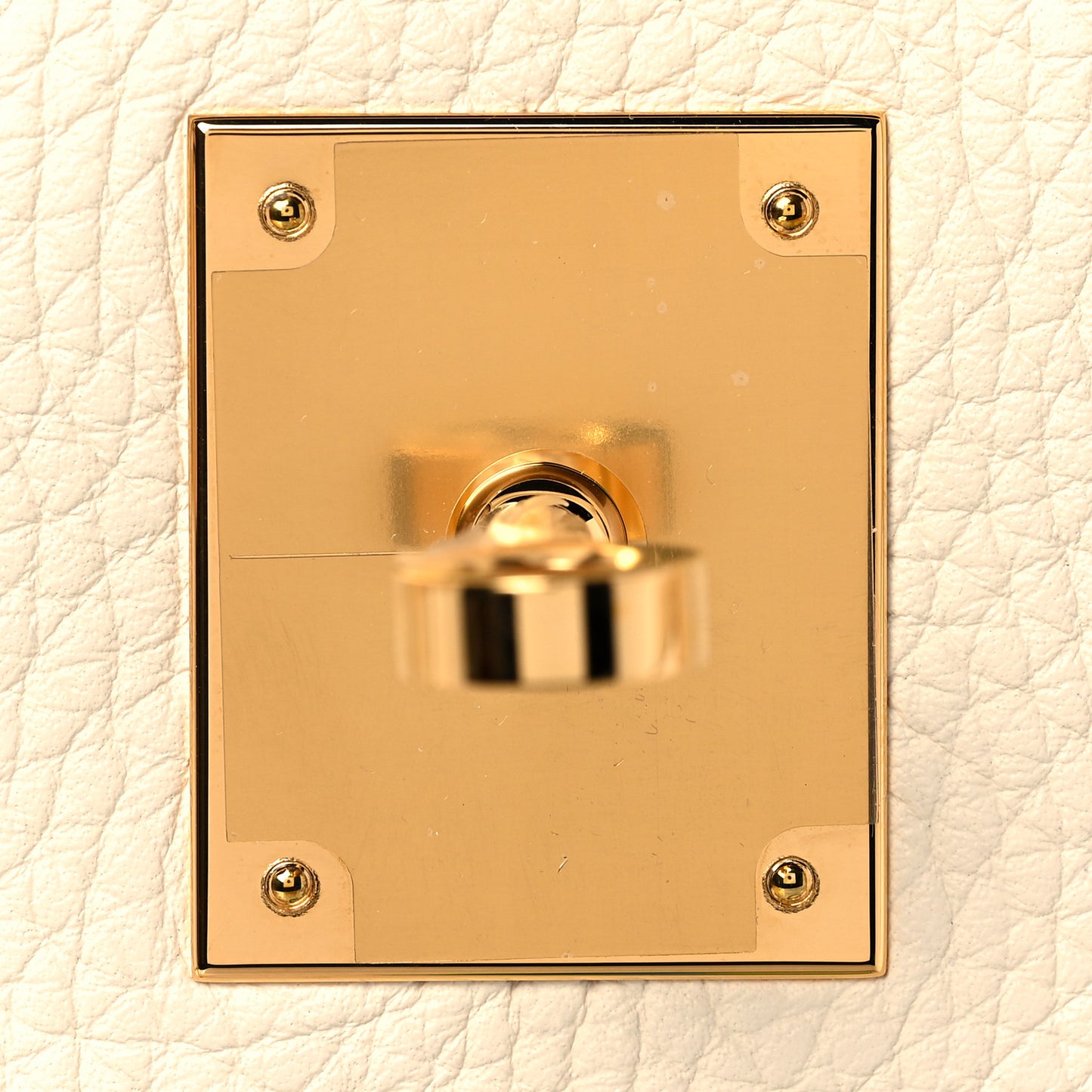 Taurillon Clemence Birkin 30 Nata