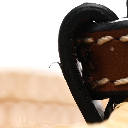 Loewe Raffia Small Square Basket Tote Bag Natural Tan 12 of 14