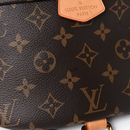 Louis Vuitton Monogram Bumbag 13 of 18