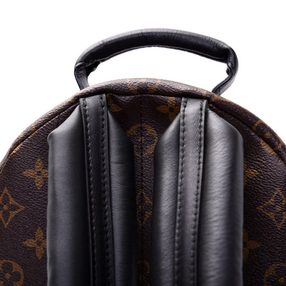 Louis Vuitton Monogram Palm Springs Backpack PM 12 of 14