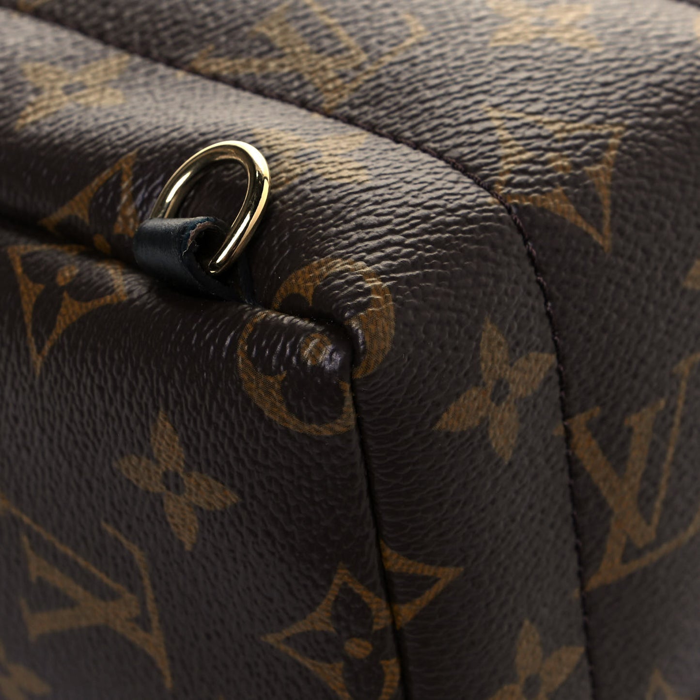 Monogram Palm Springs Backpack Mini