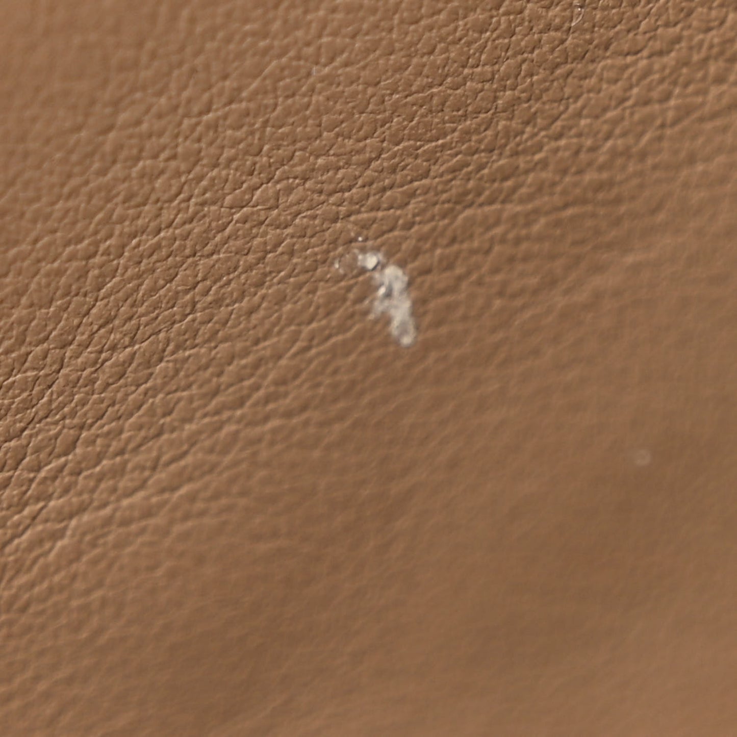 GG Supreme Monogram Mini Dionysus Chain Wallet Beige Taupe