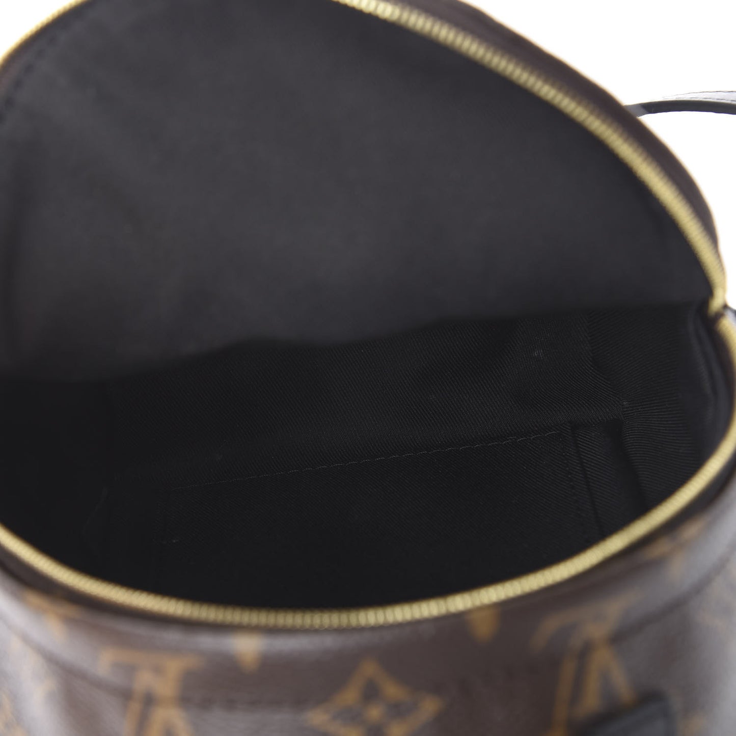 Monogram Palm Springs Backpack Mini