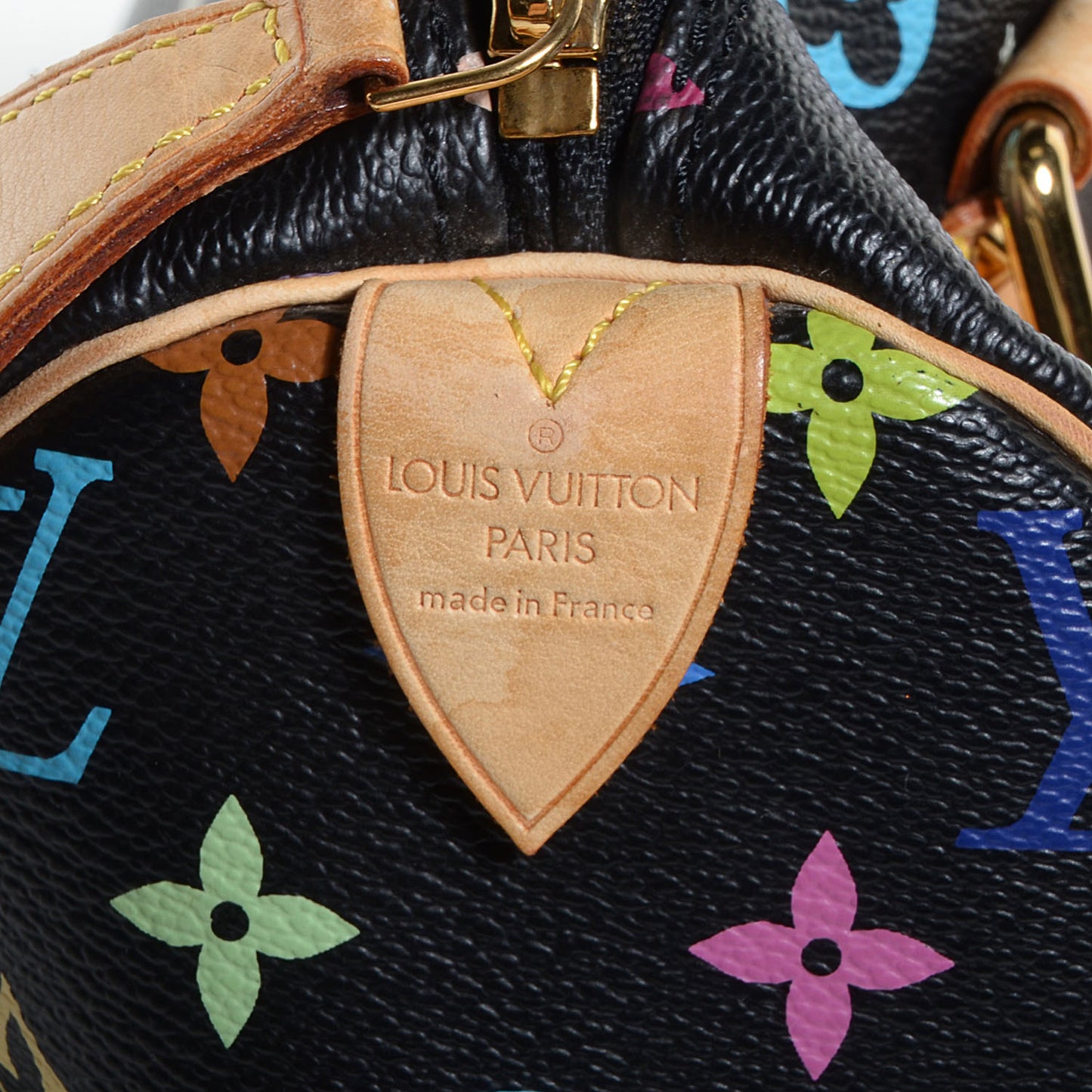 Monogram Multicolor Speedy 30 Black