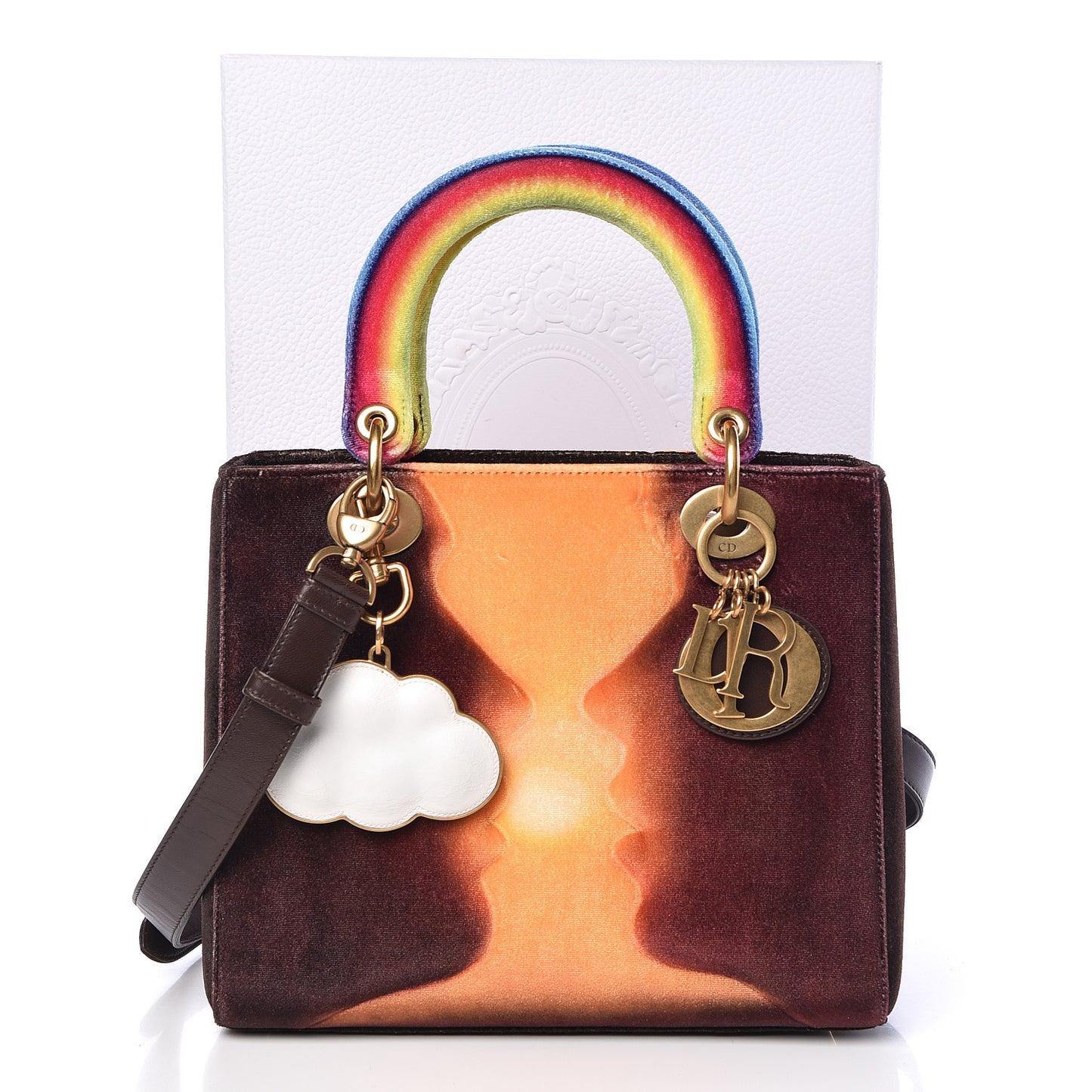 x Friedrich Kunath Velvet Medium Lady Dior Multicolor