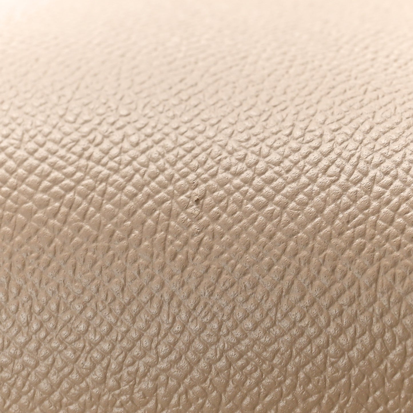 Grained Calfskin Mini Belt Bag Light Taupe