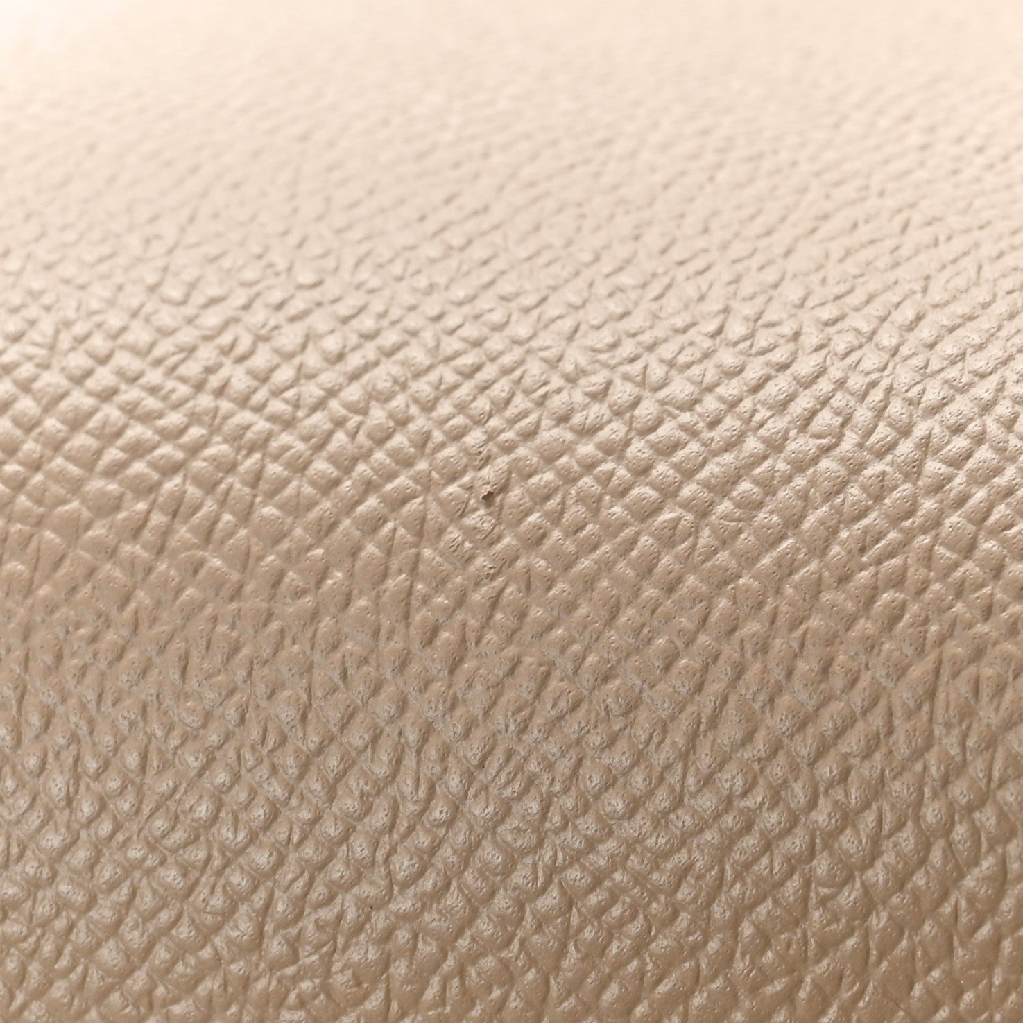 Celine Grained Calfskin Mini Belt Bag Light Taupe 10 of 11