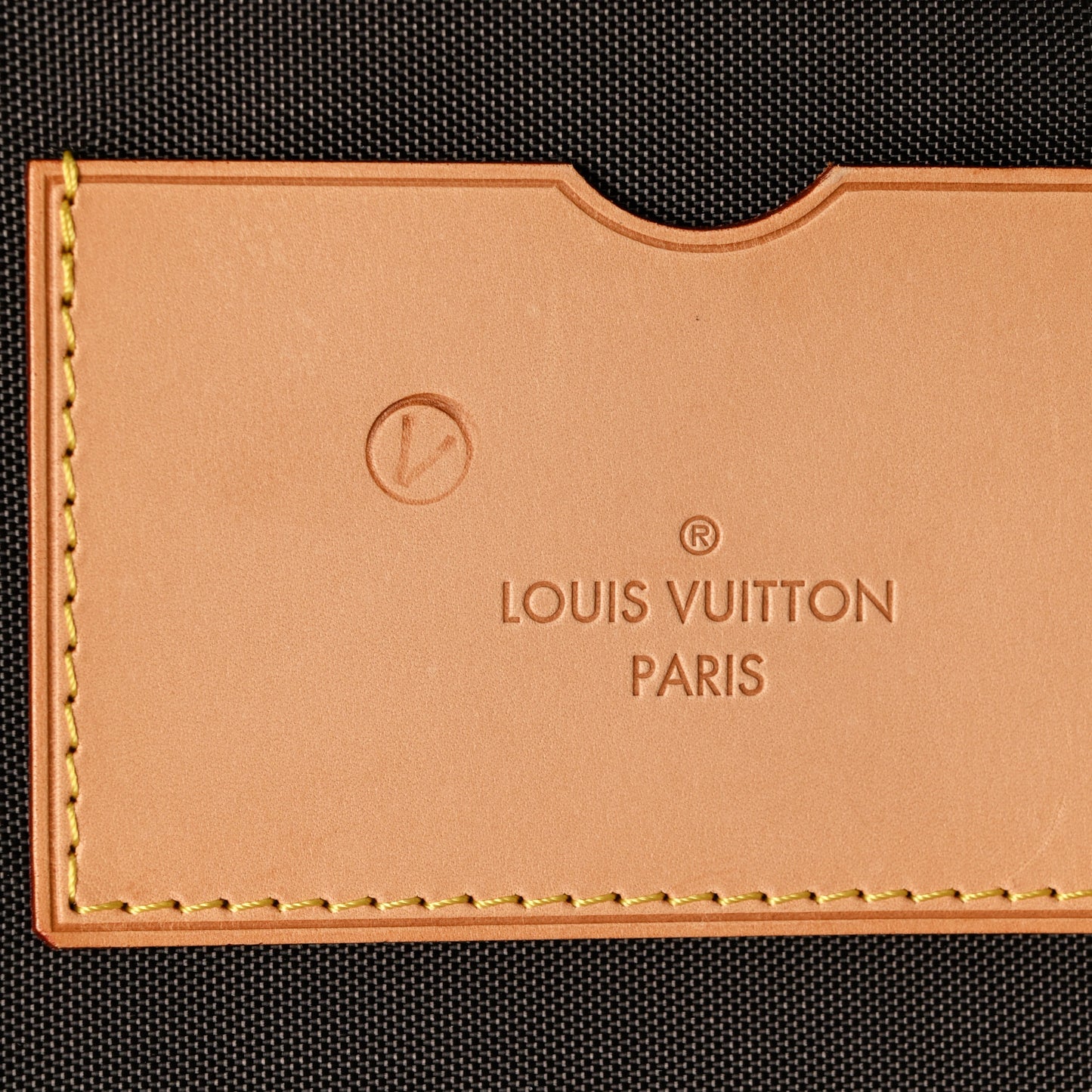 Monogram Pegase 55 Business