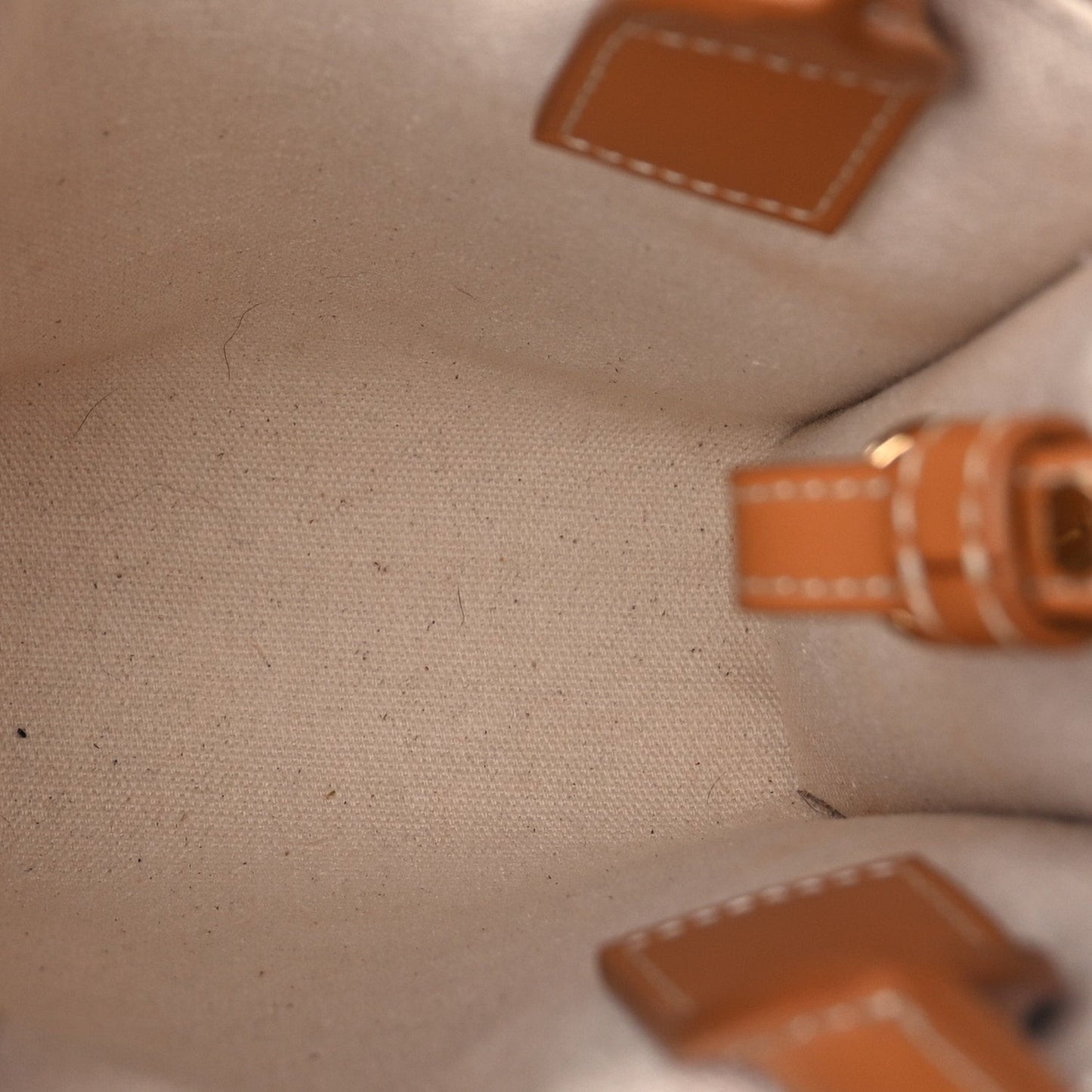 Canvas Calfskin Mini Vertical Cabas Natural Tan