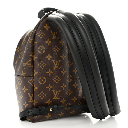 Louis Vuitton Monogram Palm Springs Backpack PM 3 of 10
