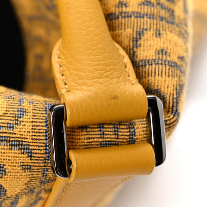 Christian Dior Oblique Lingot 50 Yellow 12 of 13