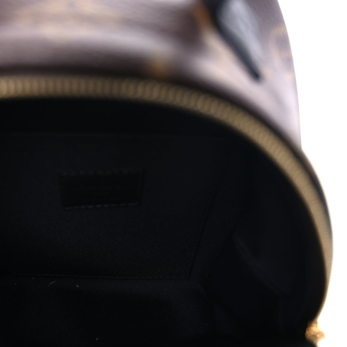 Monogram Palm Springs Backpack Mini