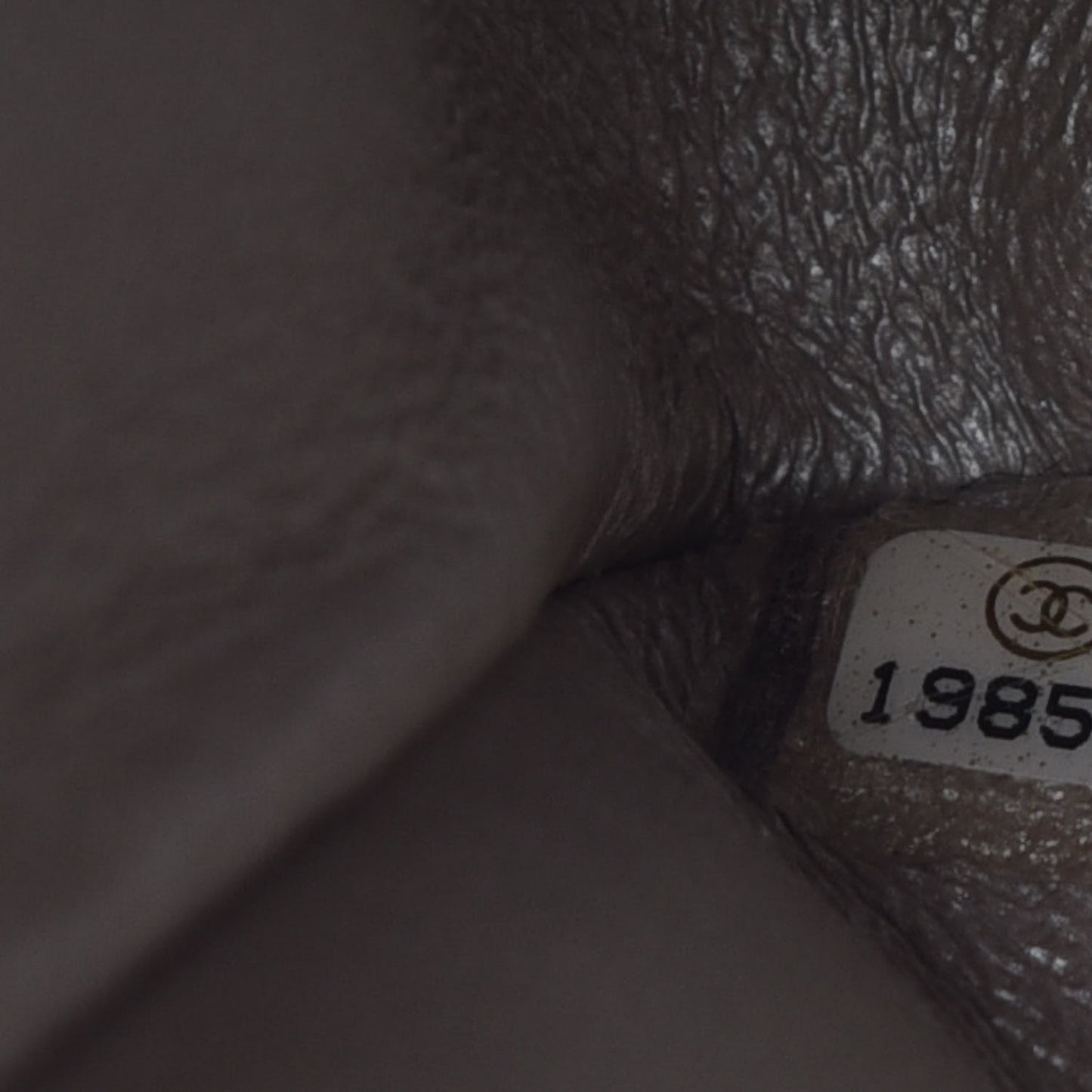 Iridescent Calfskin Medium Double Flap Light Gold