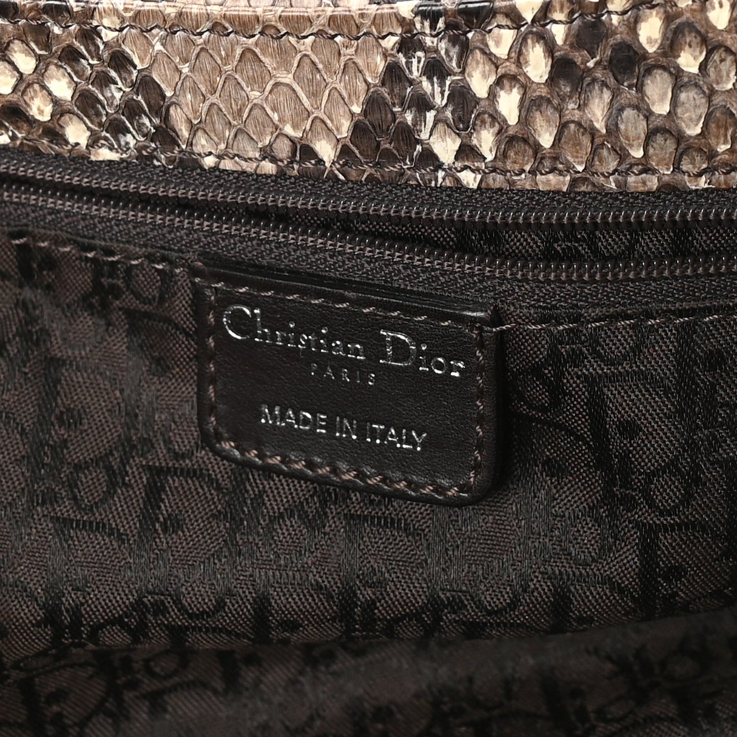 Snakeskin Saint Germain Bag Beige