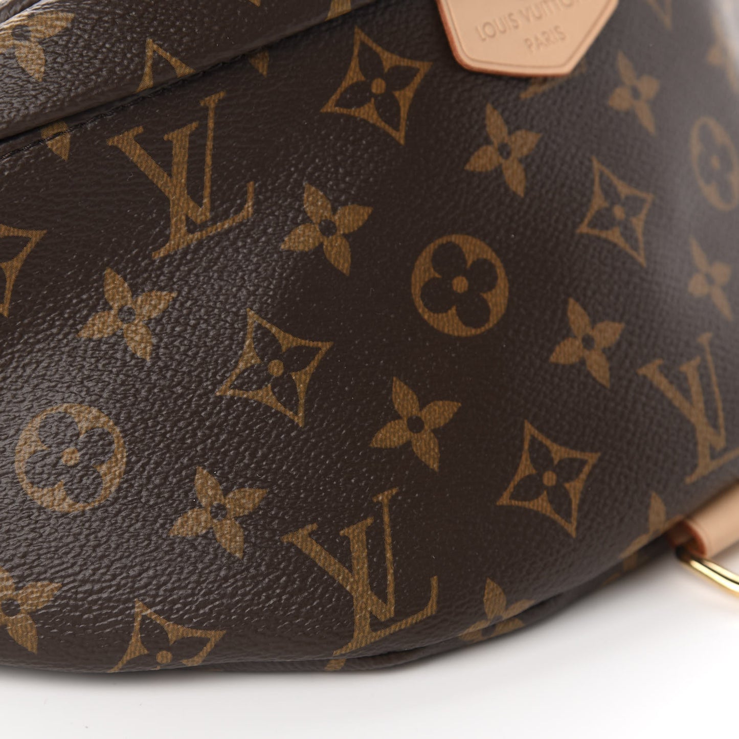 Monogram Bumbag