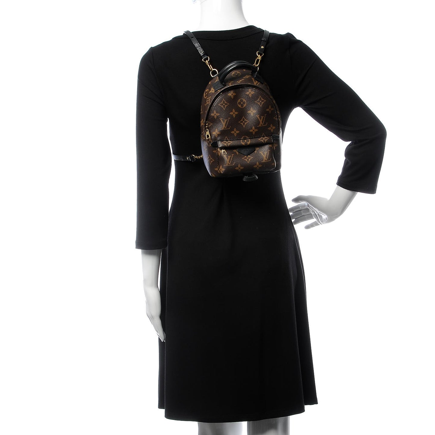 Monogram Palm Springs Backpack Mini