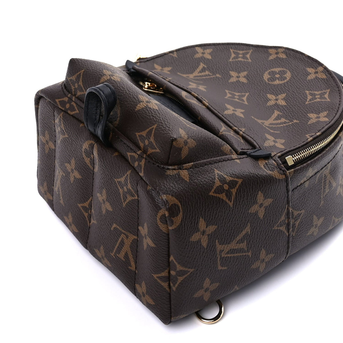 Monogram Palm Springs Backpack Mini