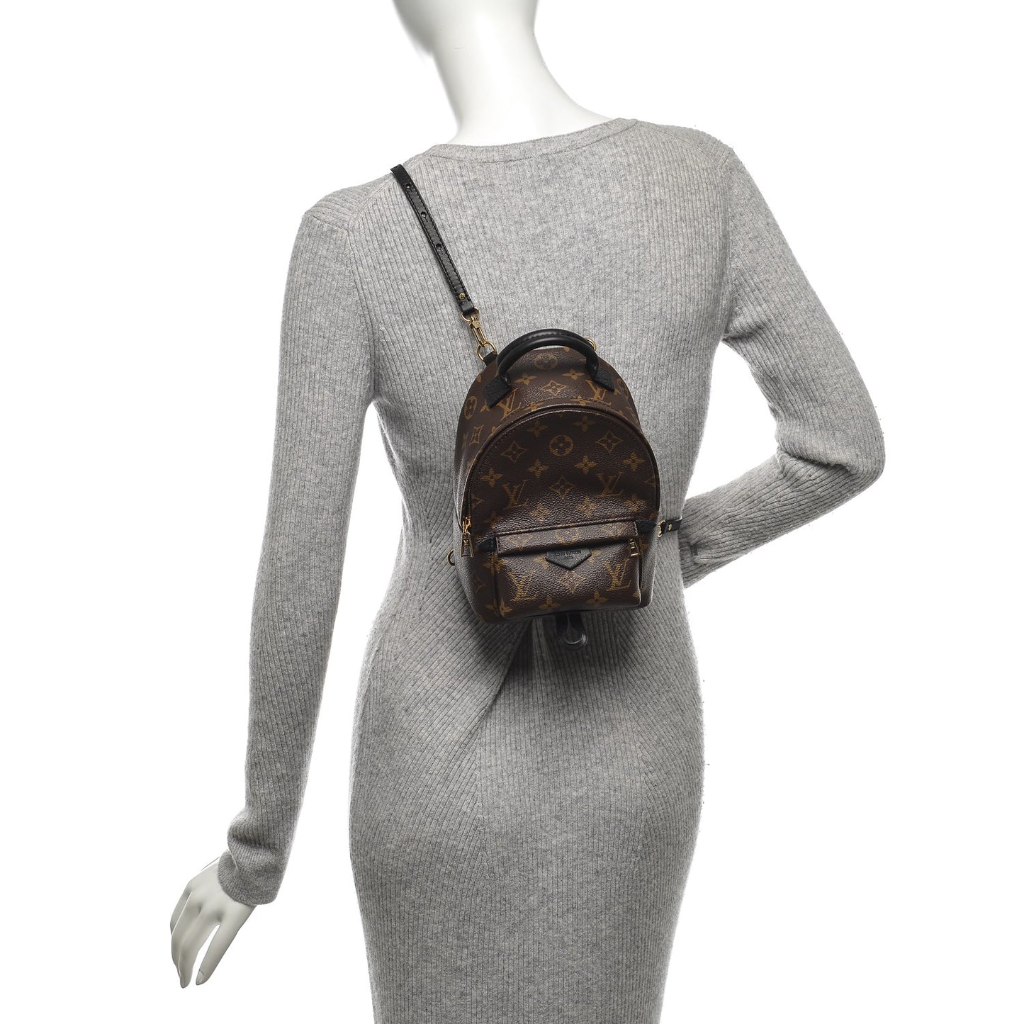 Monogram Palm Springs Backpack Mini