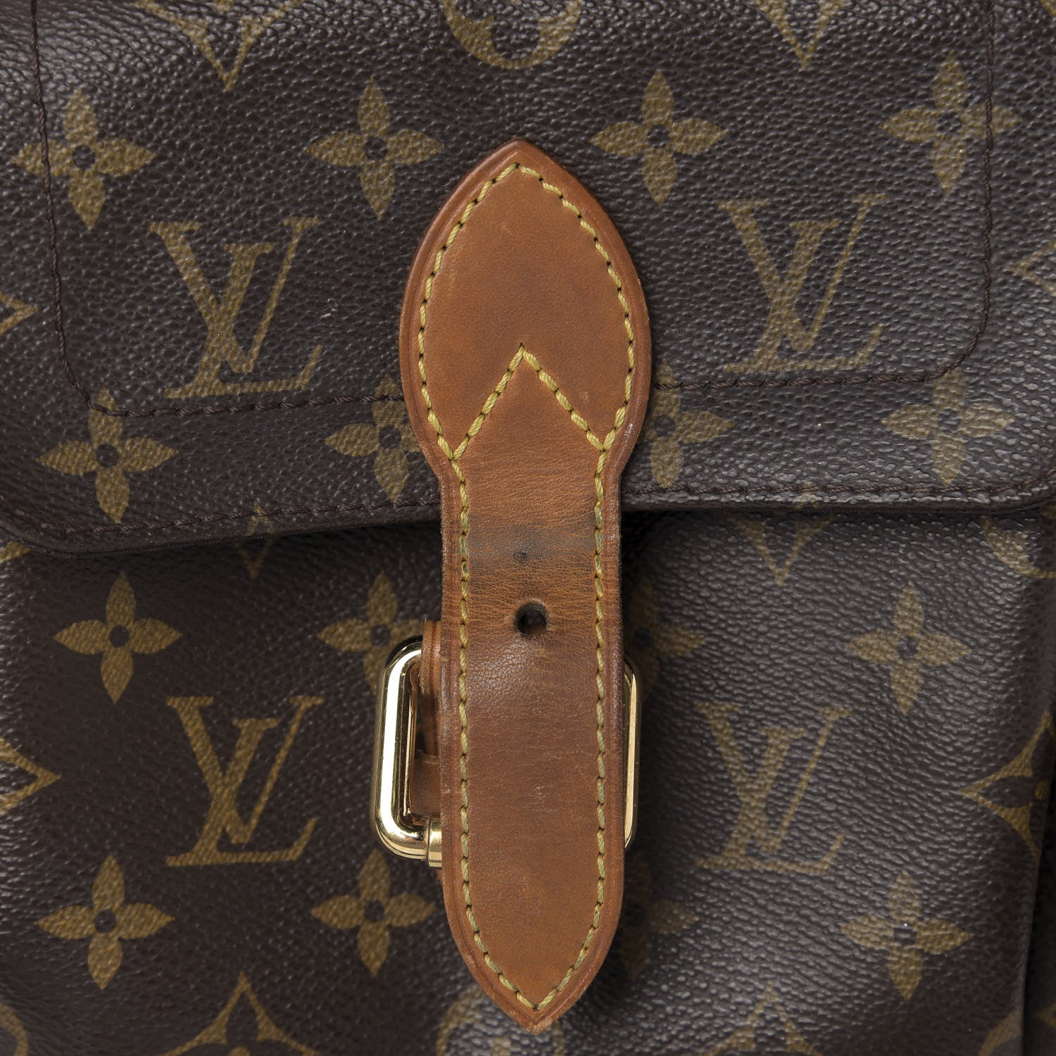 Louis Vuitton Monogram Baxter PM Dog Pet Carrier 14 of 22