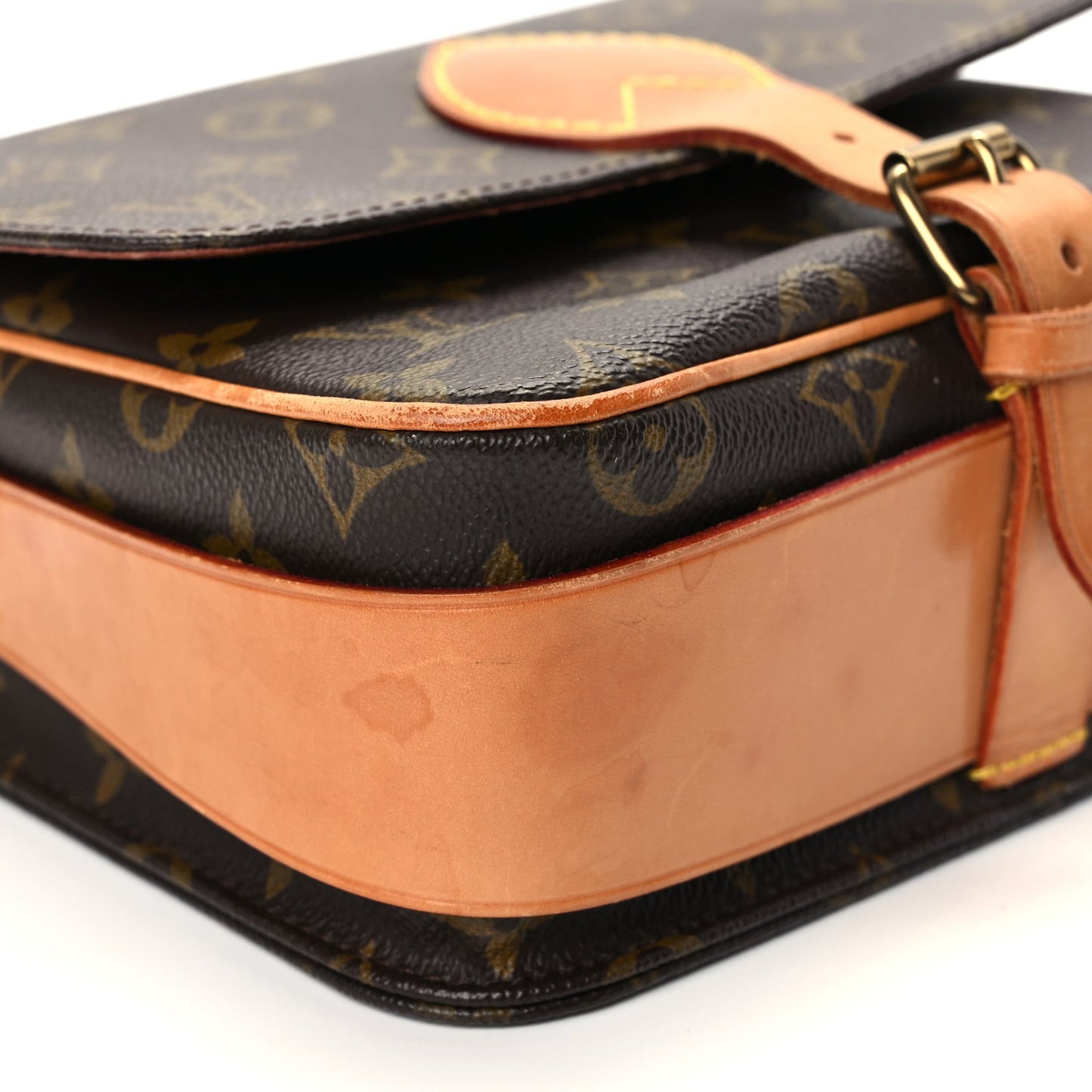 Monogram Cartouchiere 22 Monogram