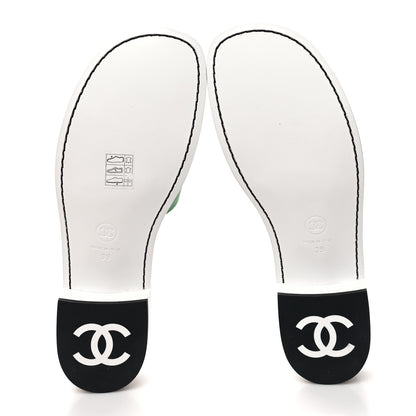 Chanel Calfskin CC Mules 39 Green White 5 of 8