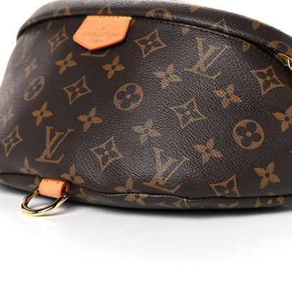 Louis Vuitton Monogram Bumbag 9 of 14