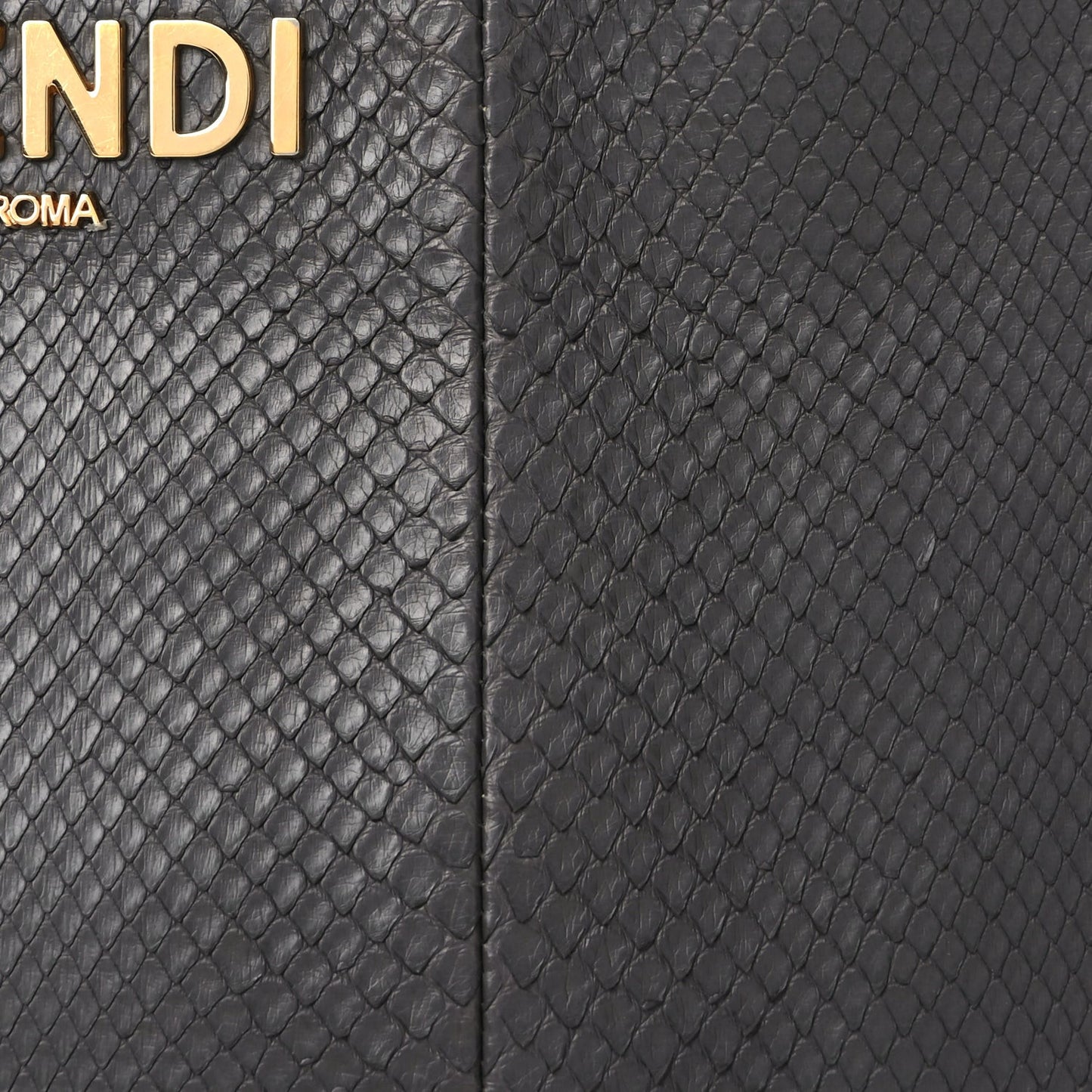 Snakeskin O'Lock Zipper Black