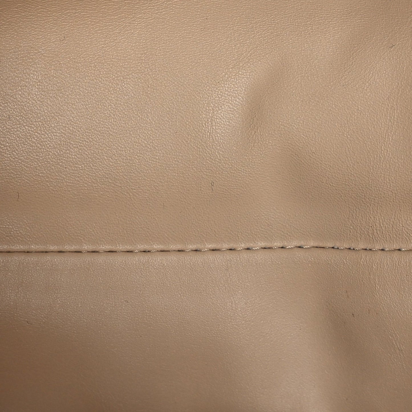 Butter Calfskin The Mini Pouch  Porridge