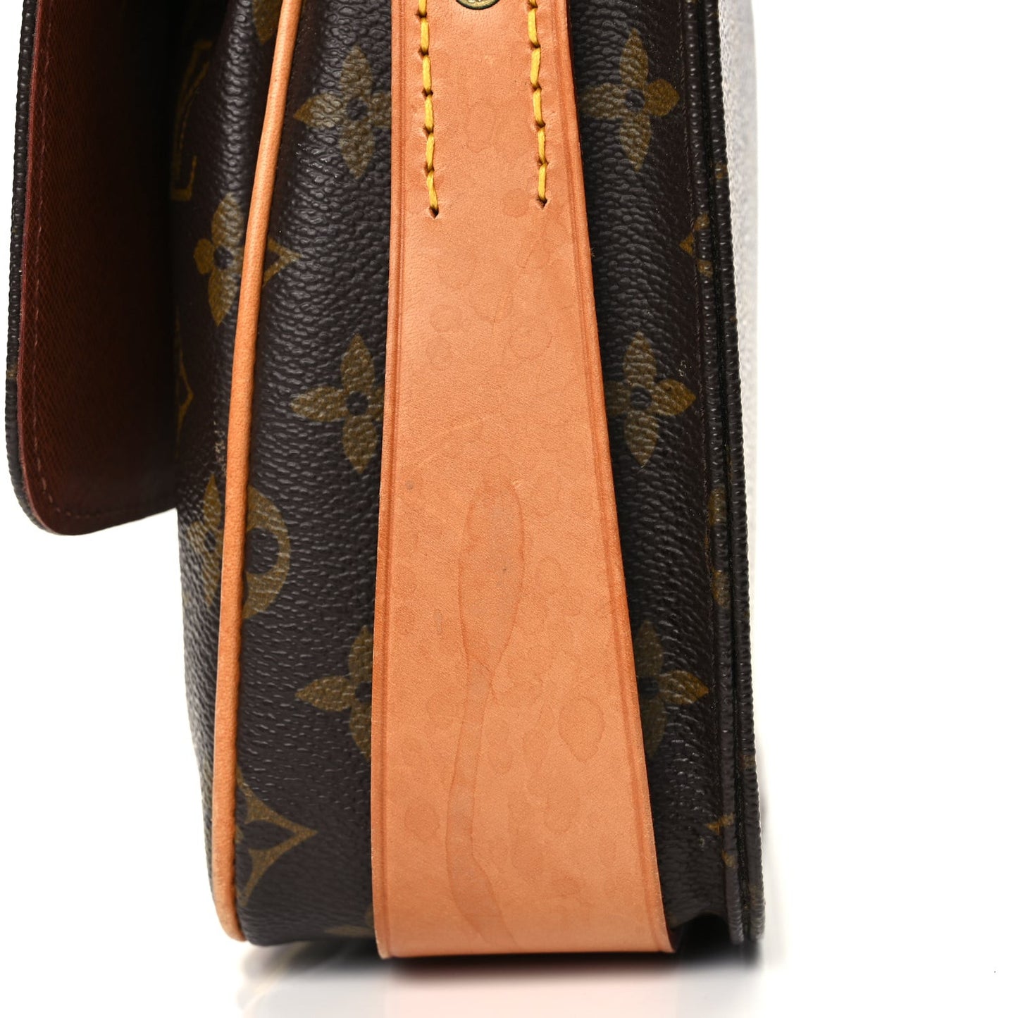Monogram Cartouchiere 22 Monogram