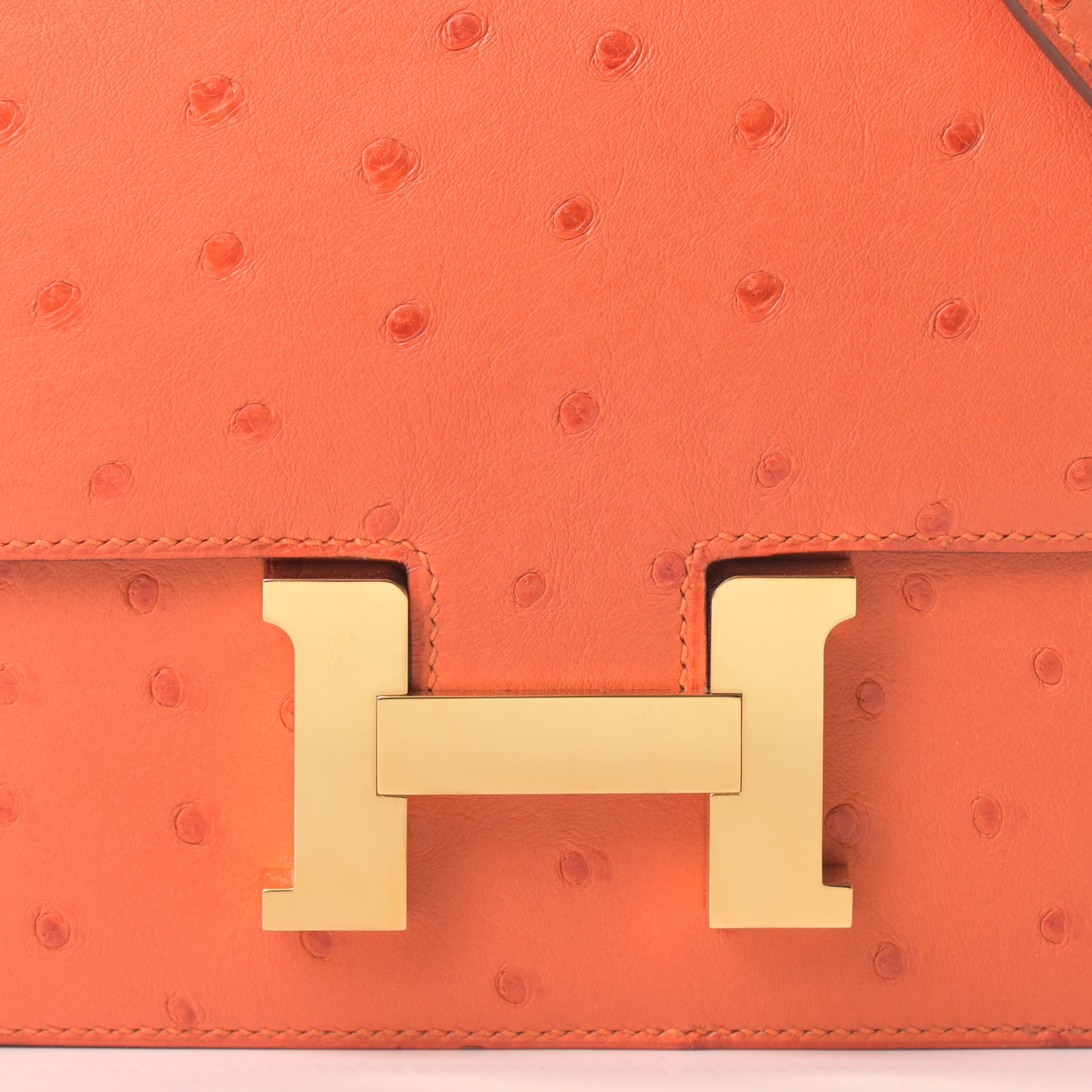 Ostrich Constance 18 Tangerine