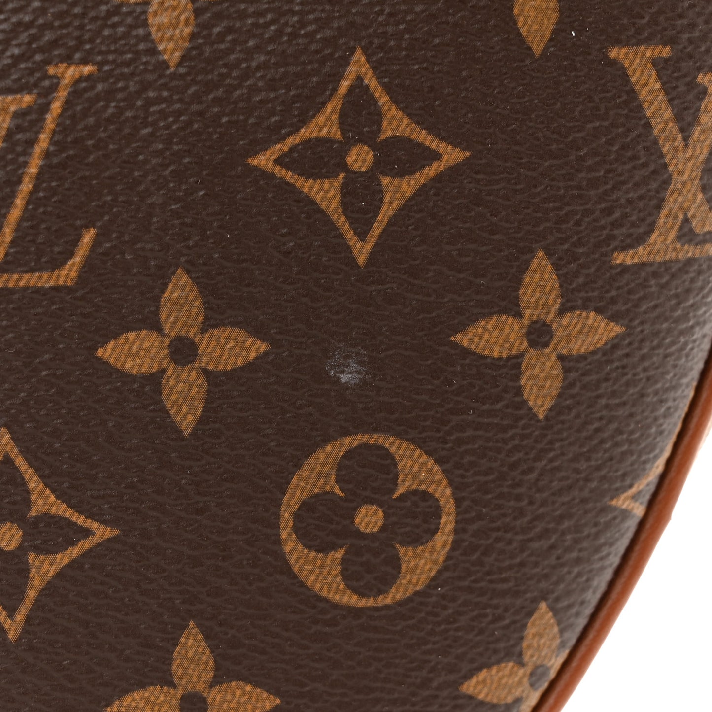 Reverse Monogram Loop Hobo