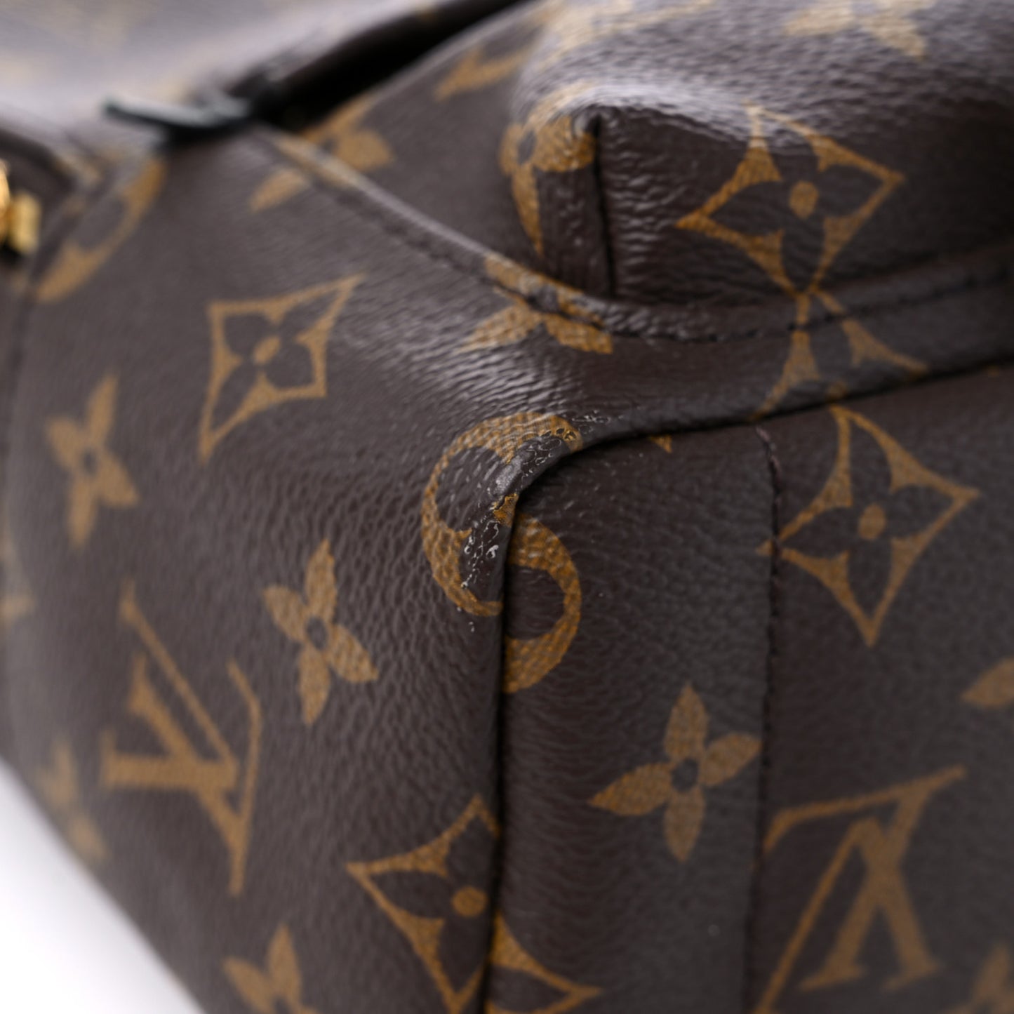 Monogram Palm Springs Backpack Mini