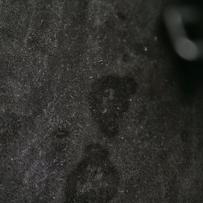 Celine Grained Calfskin Medium Phantom Luggage Black 11 of 11