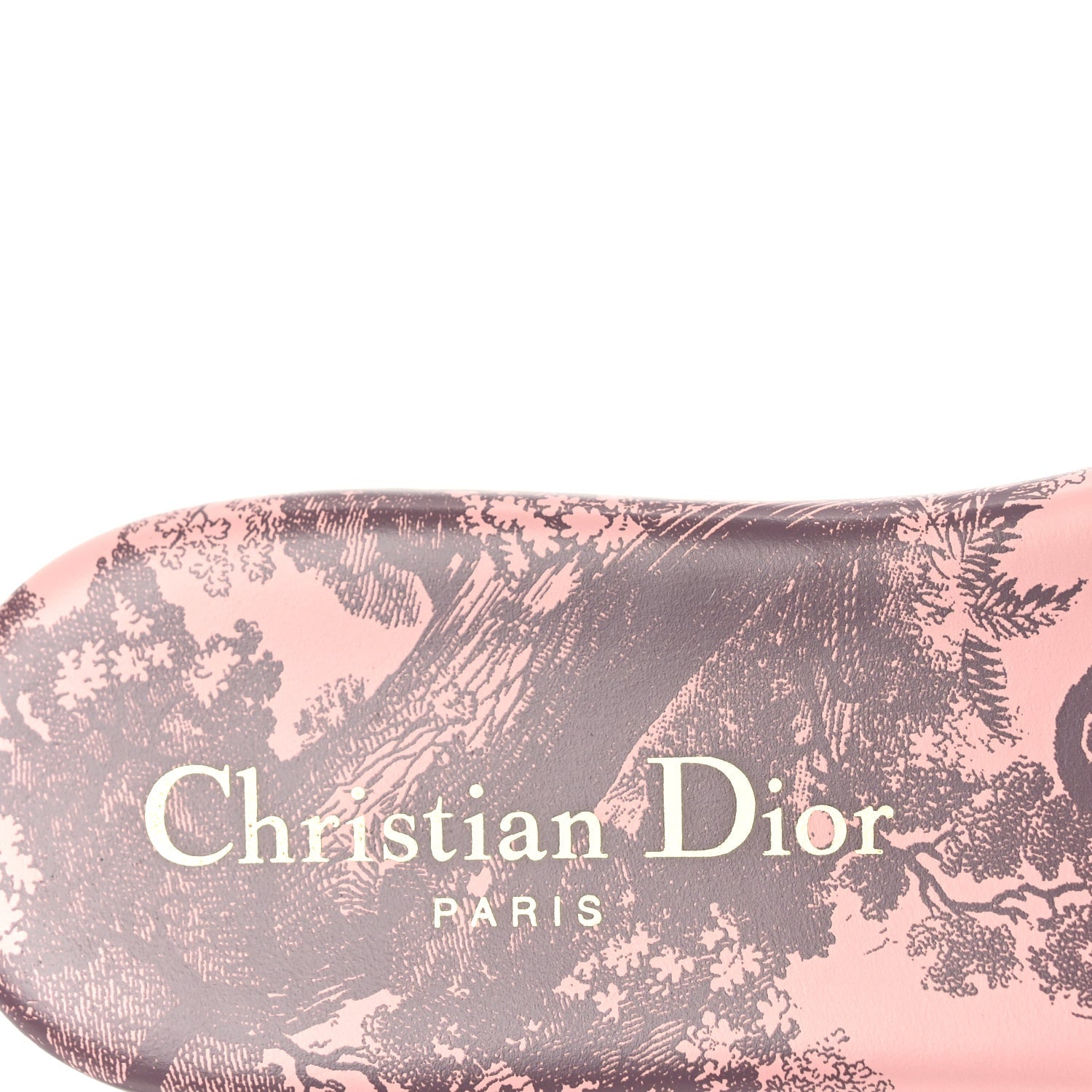 Christian Dior Canvas Toile De Jouy Embroidered Dway Flat Slide Sandals 35.5 Chateau Rose 5 of 9
