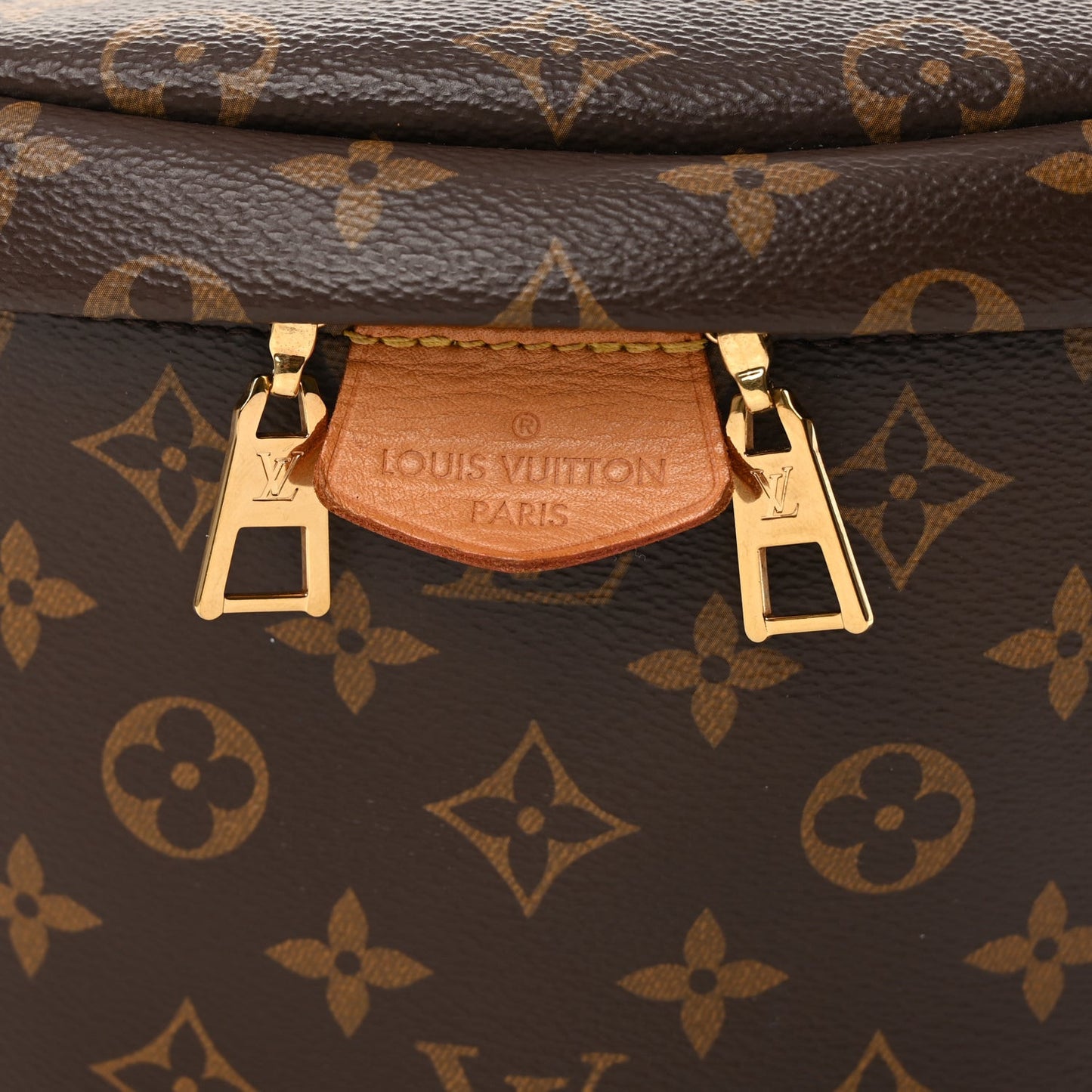 Monogram Bumbag