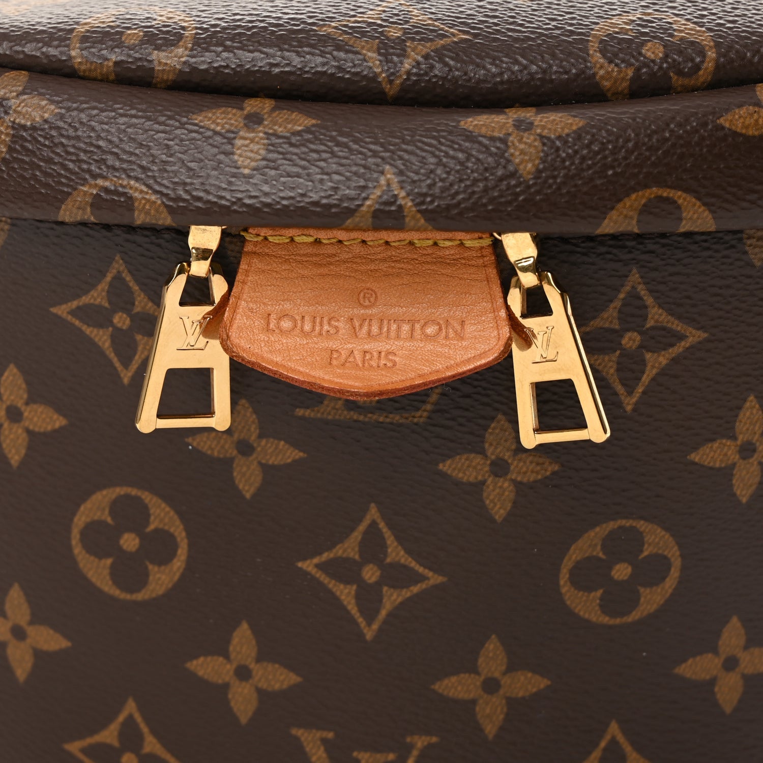 Louis Vuitton Monogram Bumbag 4 of 9