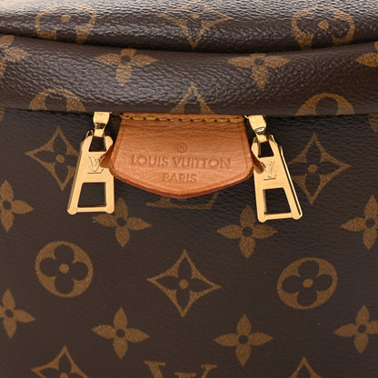 Louis Vuitton Monogram Bumbag 4 of 9