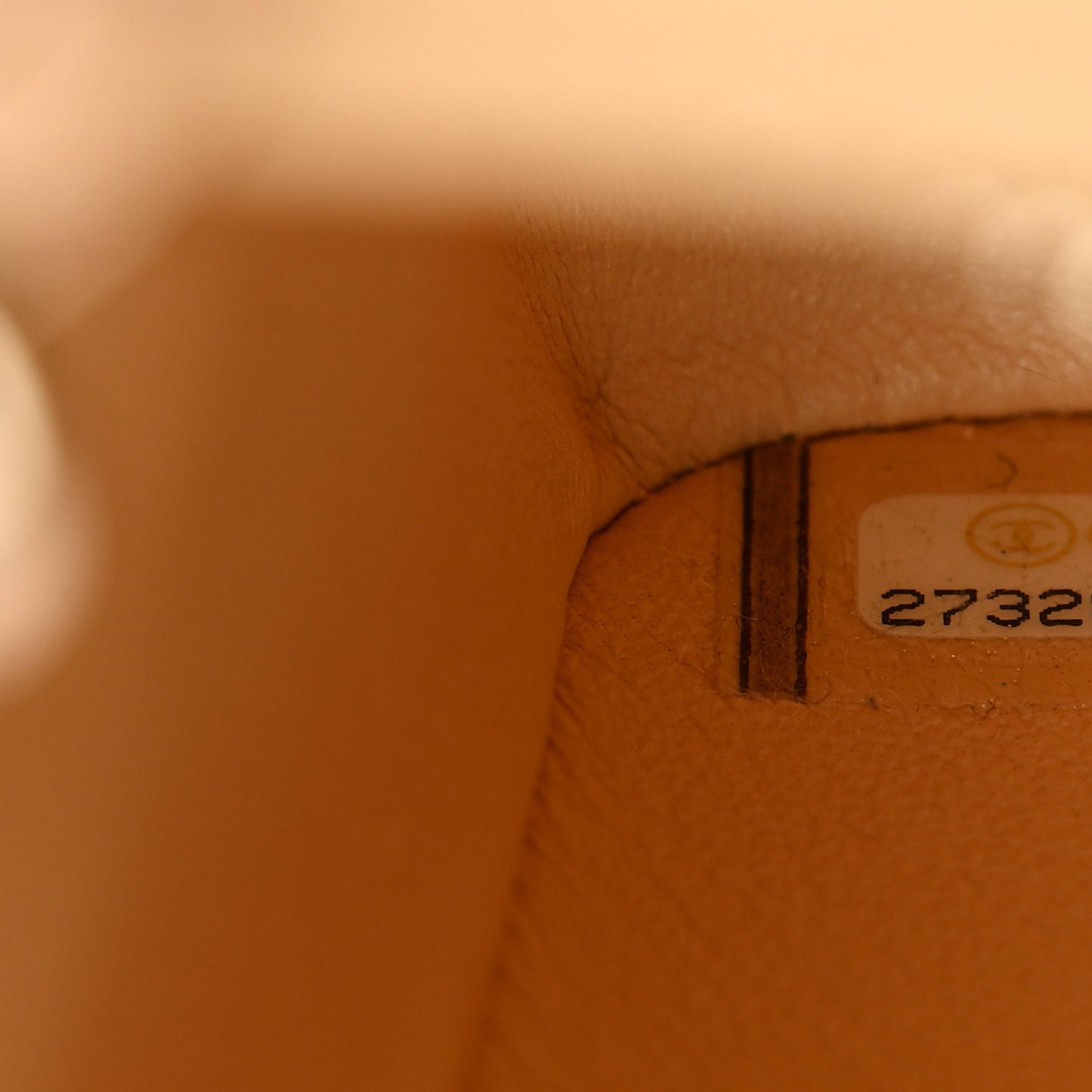 Iridescent Snakeskin Mini Rectangular Flap Beige