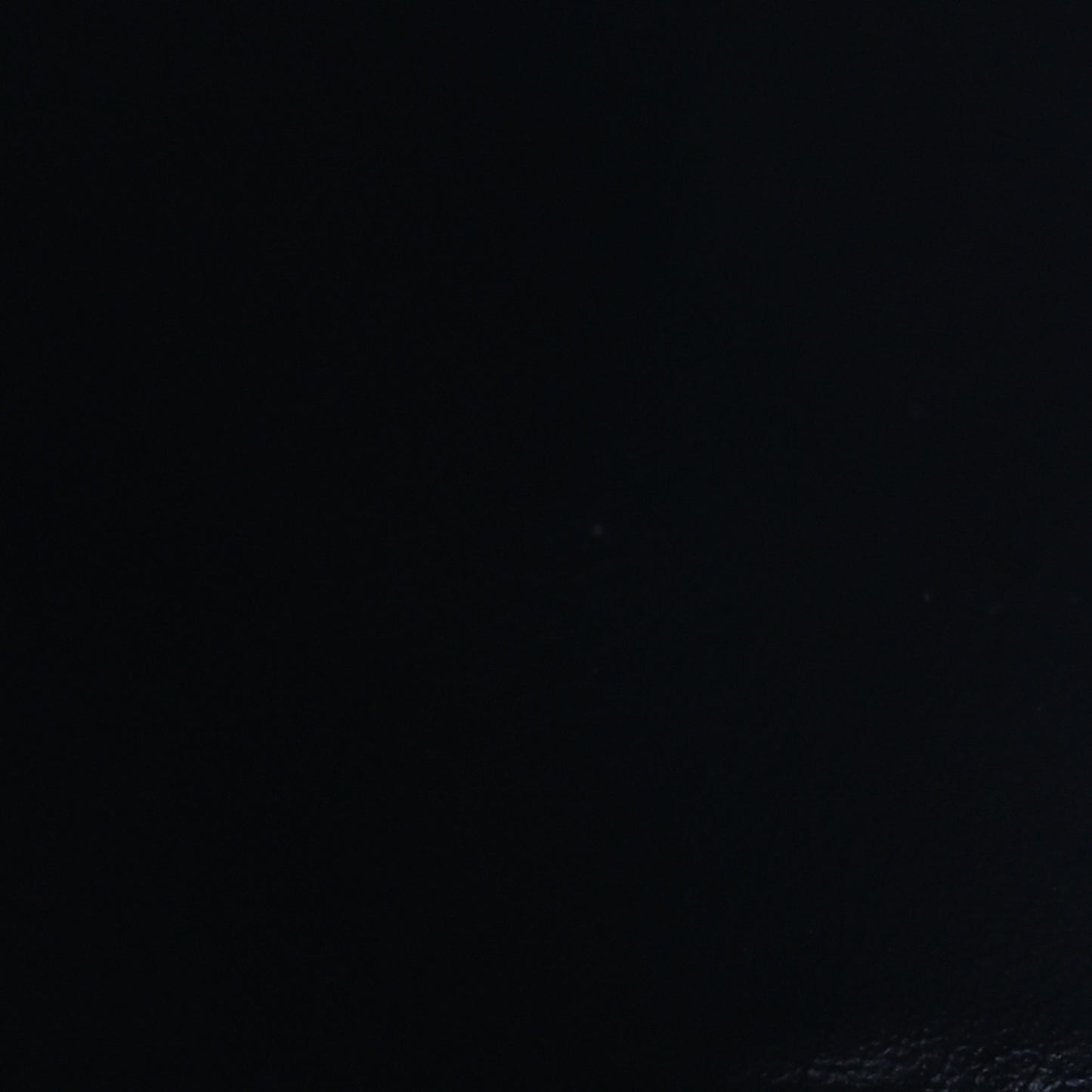 Reverse Monogram Dauphine Wallet