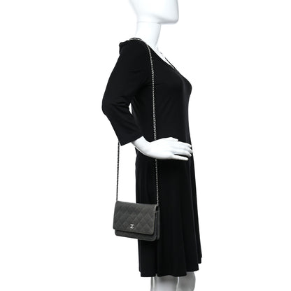 Chanel Iridescent Lambskin Quilted Wallet On Chain WOC Grey 2 of 12