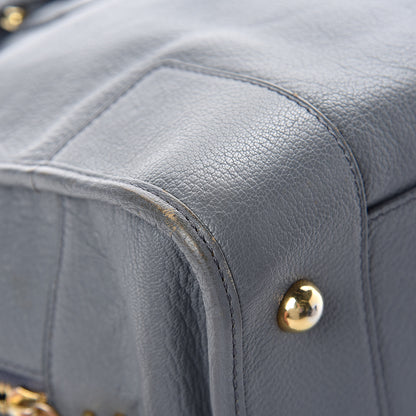 Loewe Calfskin Amazona Grey 11 of 15