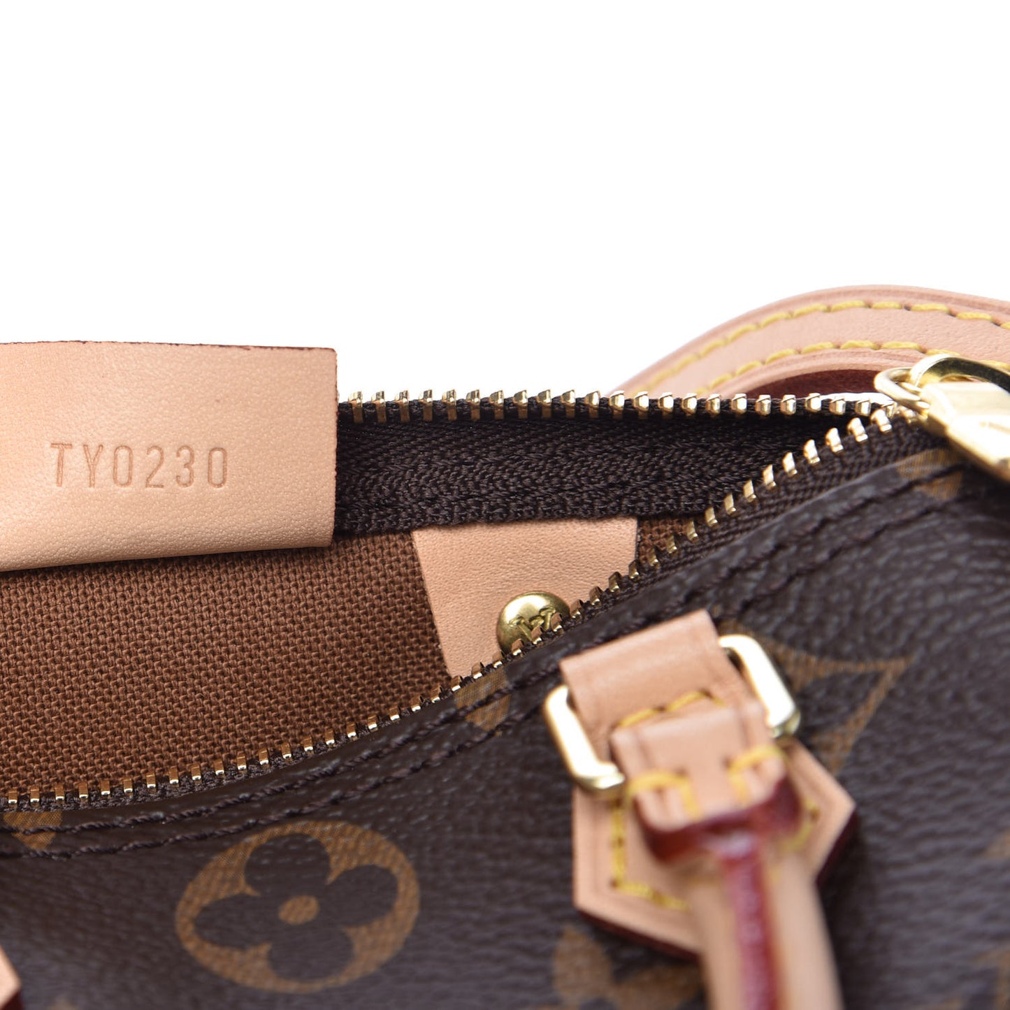 Monogram Nano Speedy