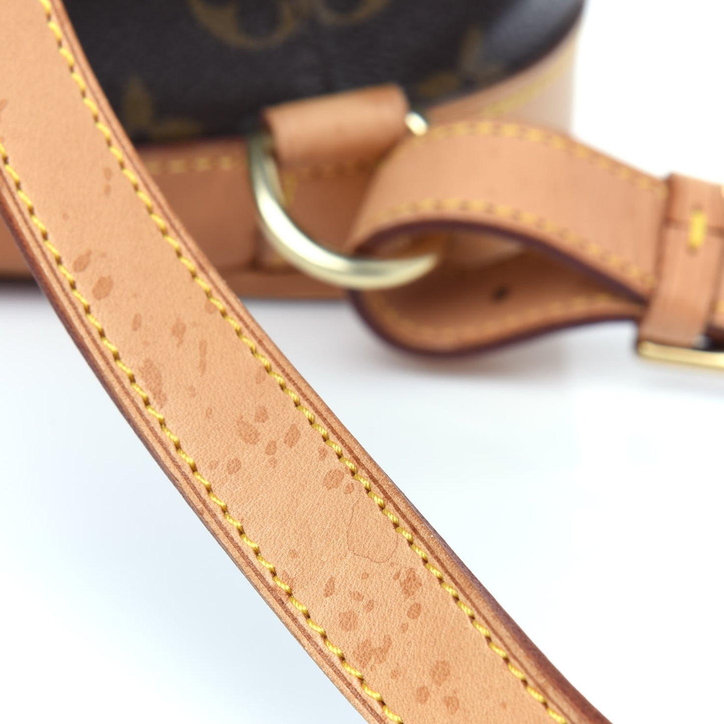 Monogram Montsouris MM Backpack