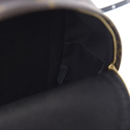 Louis Vuitton Monogram Palm Springs Backpack Mini 8 of 10