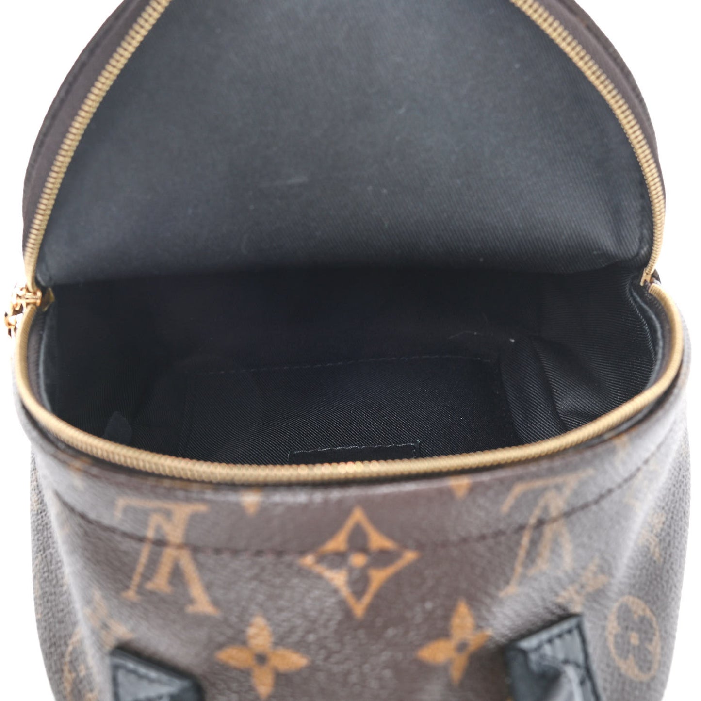 Monogram Palm Springs Backpack Mini