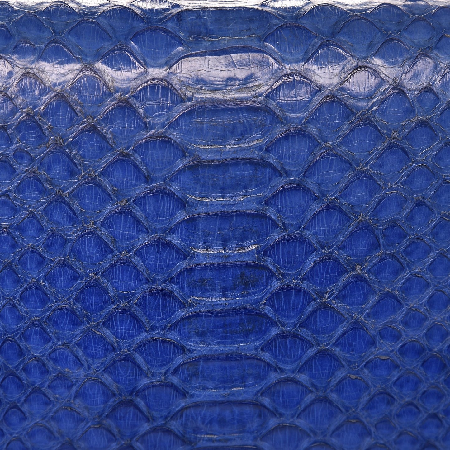 Python Medium Classic Box Flap Bag Indigo