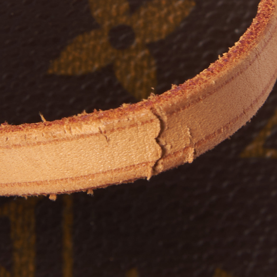 Monogram Montsouris GM Backpack