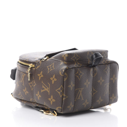 Louis Vuitton Monogram Palm Springs Backpack Mini 4 of 16