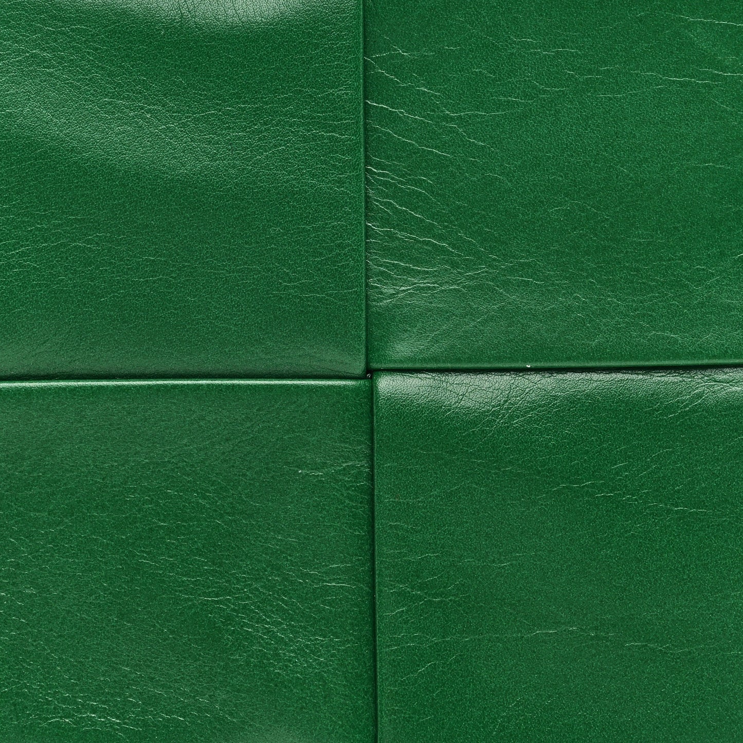 Paper Calfskin Intreccio Cassette Belt Bag Parakeet