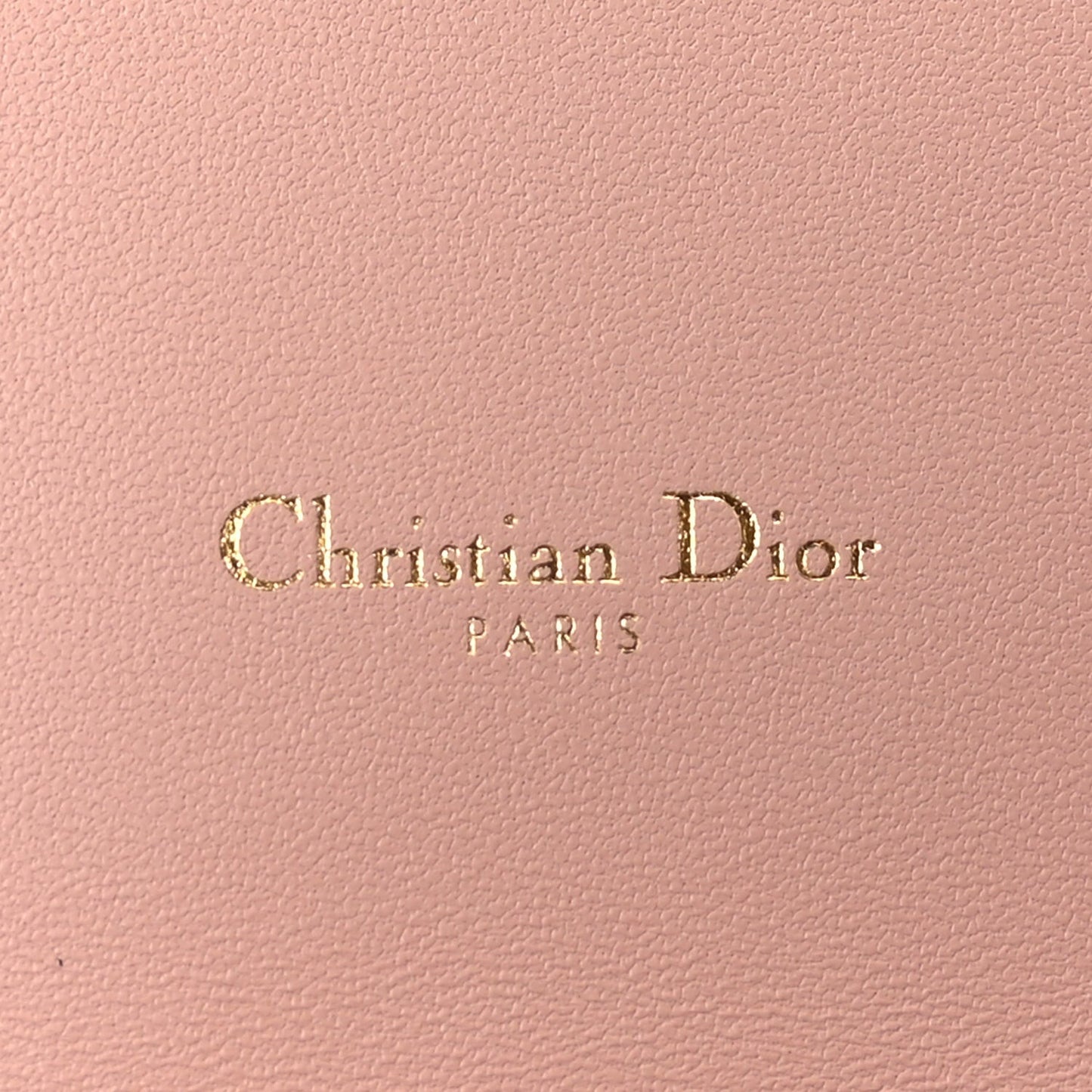 Supple Calfskin Caro Pouch with Chain Rose Des Vents